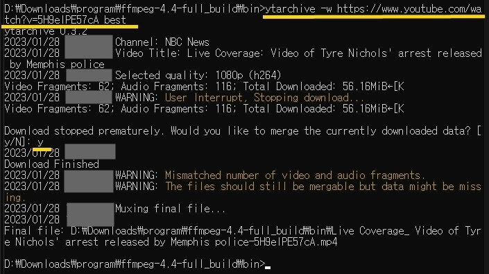 ytarchive cmd